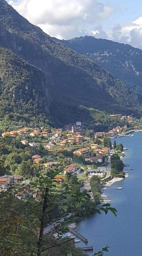 L'erica Onno